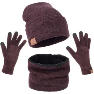 MAYLISACC Winter Hat Scarf and Glove Set for Women, Wine Red Warm Ladies Beanies Loop Scarves and Touchscreen Gloves