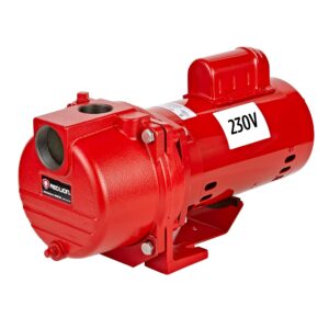 red lion rl-sprk200 230 volt, 2 hp, 76 gpm cast iron sprinkler/irrigation pump with thermoplastic impeller, red, 97102001