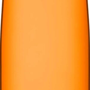 CamelBak Chute Mag BPA Free Water Bottle 25 oz, Lava