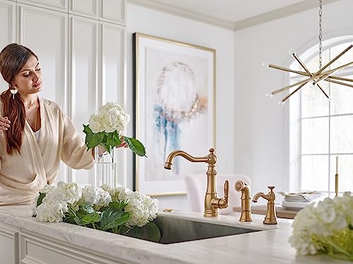 Moen Brushed Gold Sip Traditional Cold Water Kitchen Beverage Faucet with Optional Filtration System, S5510BG