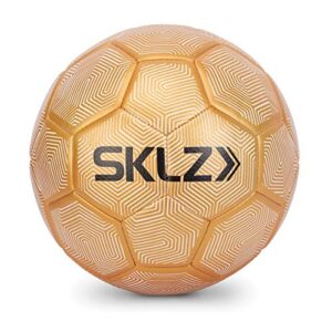 sklz golden touch weighted soccer technique training ball, size 5