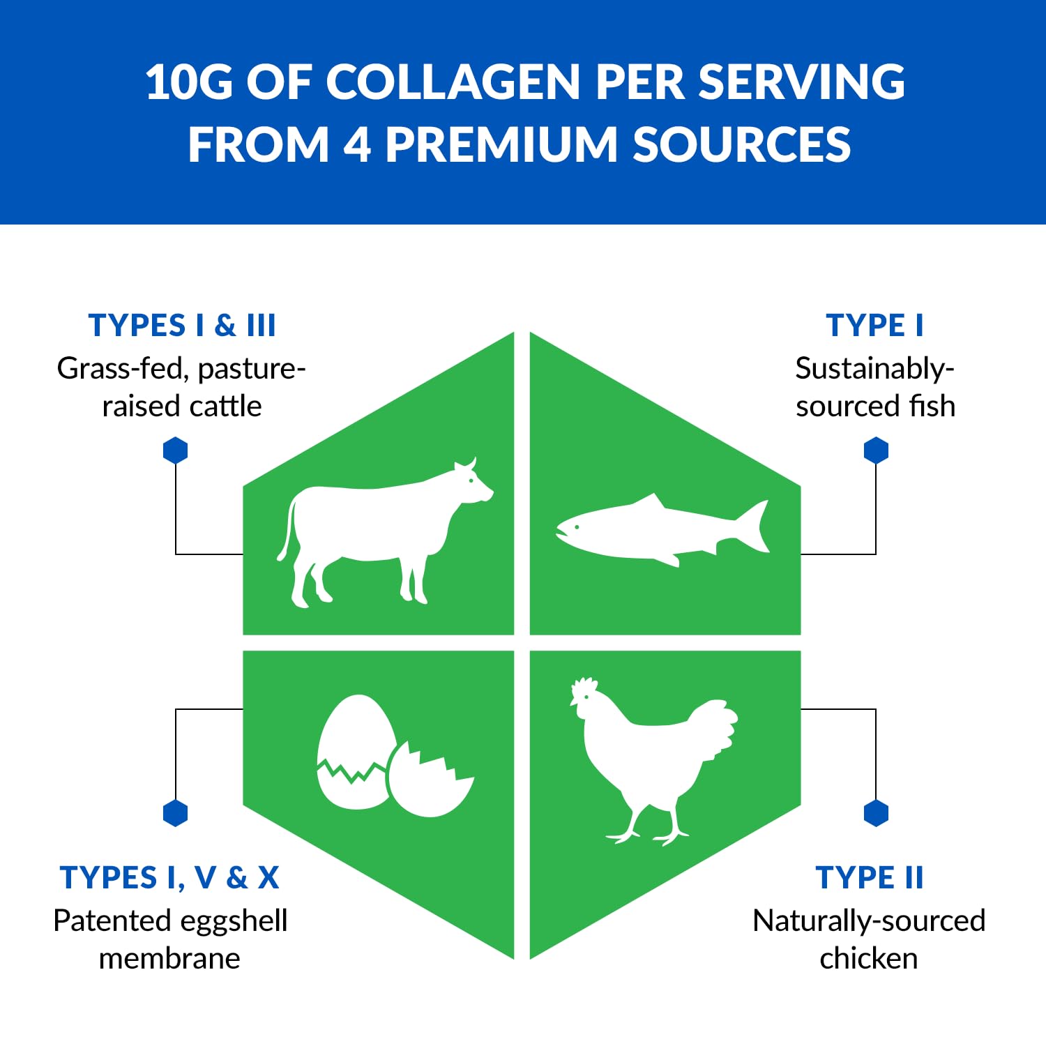 BioTrust Ageless Multi Collagen Peptides Powder – 5 Types (I, II, III, V, X) – Unflavored Collagen Powder for Women & Men – Hydrolyzed Protein – Grass Fed Beef, Fish, Chicken, Eggshell Membrane