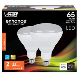 LED FEIT BR40 65W EQ SW