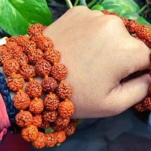 IS4A Nepali Rudraksha Mala with Certificate for Wearing and Japa Mala (5 Mukhi Mala, 108 Beads Mala).