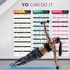 YoYork Exercise Posters for Stretching, Dumbell & Bodyweight Training - Home Gym & Fitness Workout w Minimal Equipment Needed - Get Full Body Workout at Home - 3 Laminated Posters Plus Workout Cards