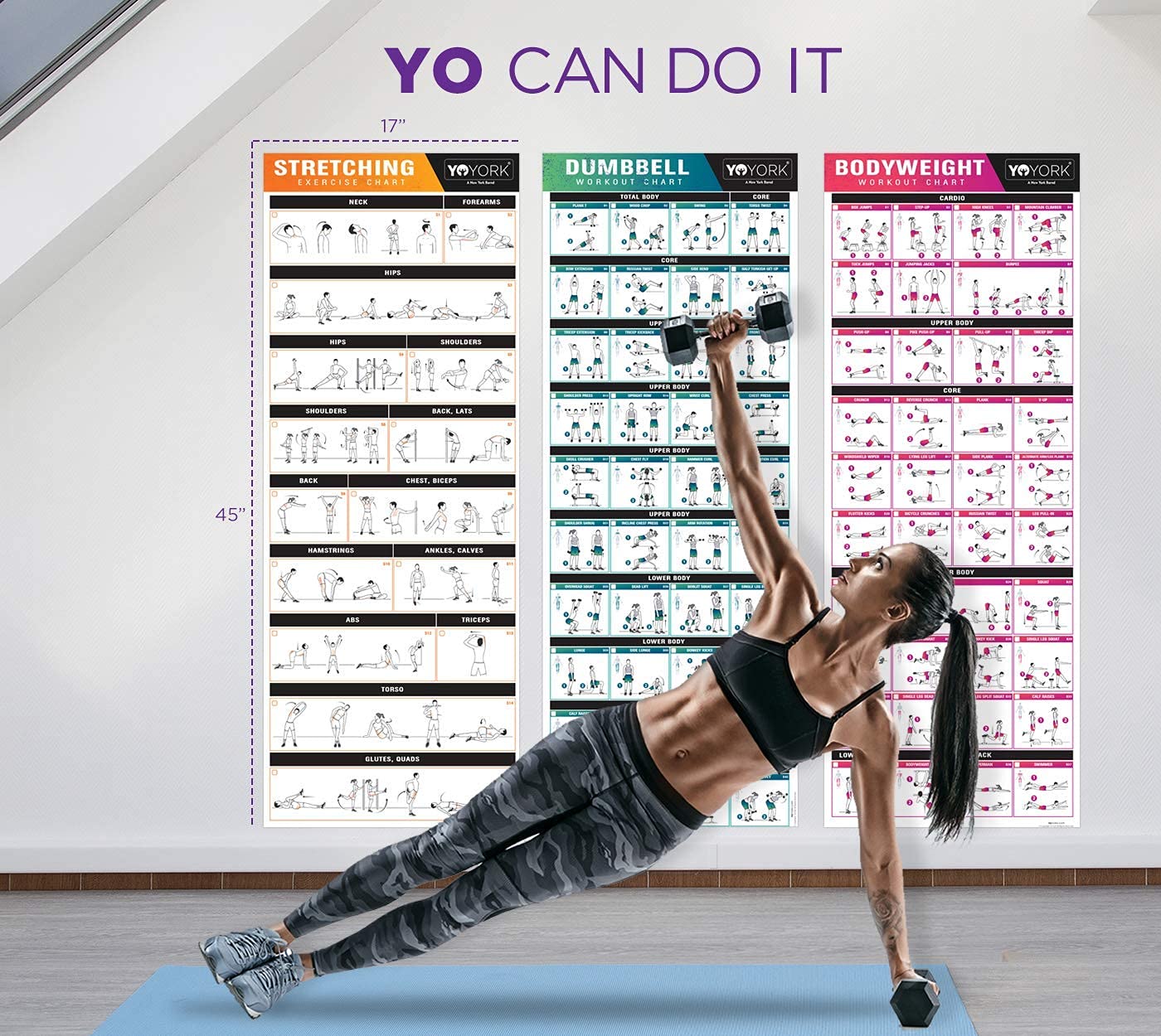 YoYork Exercise Posters for Stretching, Dumbell & Bodyweight Training - Home Gym & Fitness Workout w Minimal Equipment Needed - Get Full Body Workout at Home - 3 Laminated Posters Plus Workout Cards