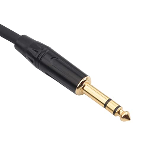 Disino 1/4 Inch TRS to XLR Male Balanced Signal Interconnect Cable Quarter inch to XLR Patch Cable - 3.3 Feet