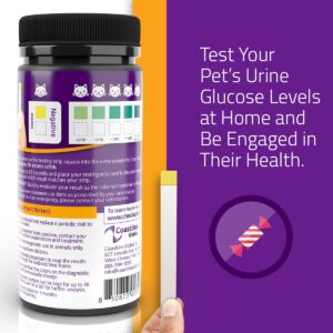 KIT4CAT CheckUp Glucose Urine Testing Strips for Cats and Dogs - Detection of Glucose Levels x 50