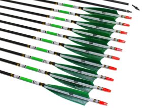 ttfly fletching 31 inch carbon arrows green turkey feather targeting arrows archery with screw-in field tips hunting&practice(12 pack)