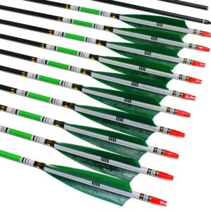 TTFLY FLETCHING 31 inch Carbon Arrows Green Turkey Feather Targeting Arrows Archery with Screw-in Field Tips Hunting&Practice(12 Pack)