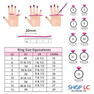 SHOP LC 925 Sterling Silver Engagement Rings Rhodium Plated Cubic Zirconia CZ Wedding Promise Rings for Her Wedding Band for Women Jewelry Ct 3.8 Size 9 Birthday Gifts for Women