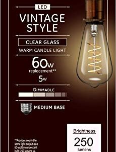 GE Lighting Vintage Edison Style LED Light Bulb, 5 Watts (60 Watt Equivalent) Warm Candle Light, Clear Glass, Medium Base, Dimmable (1 Pack)