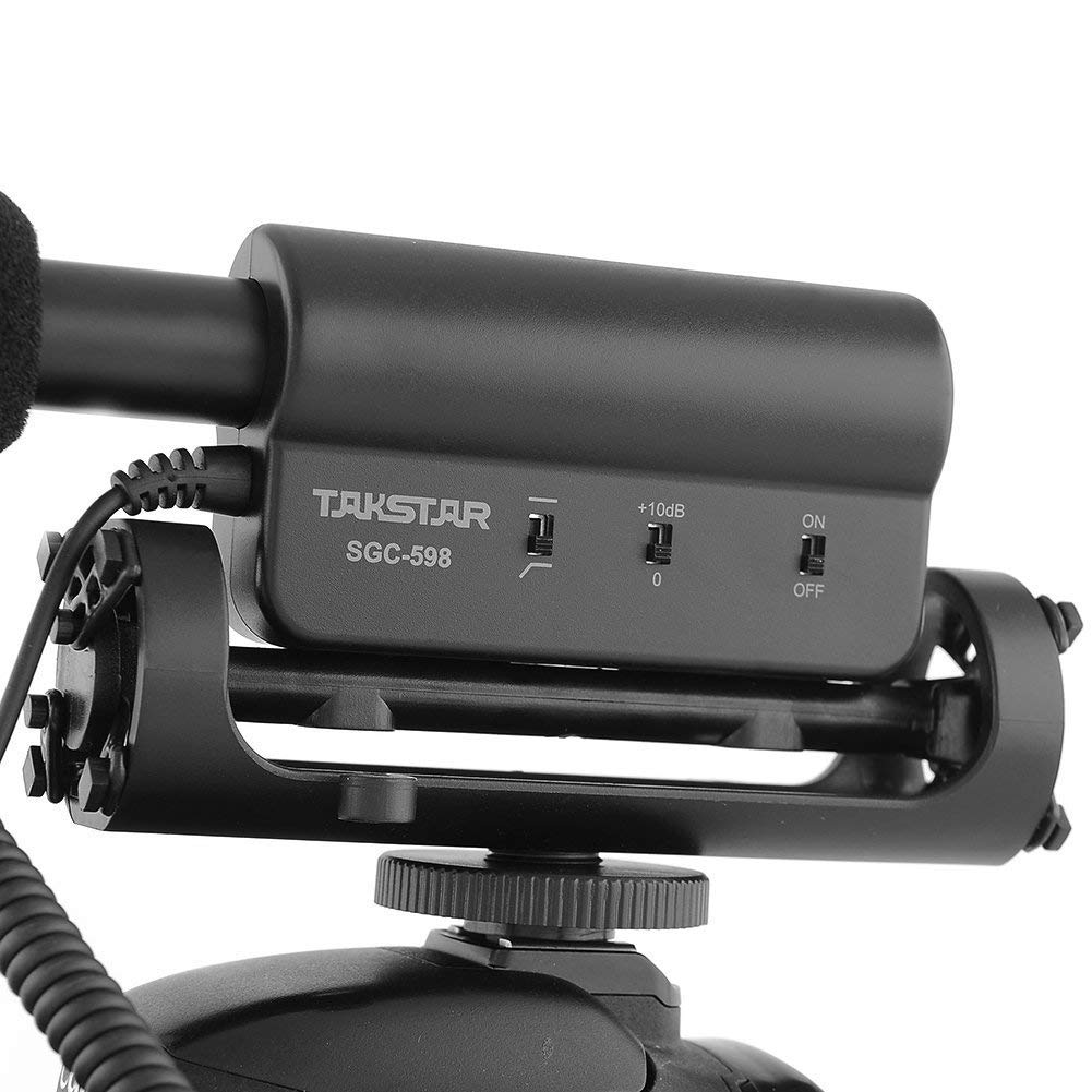 TAKSTAR SGC-598 Interview Photography Microphone Nikon/Canon Camcorder Camera/DV (SGC598 w Windsheild) (Medium)