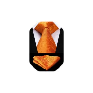 HISDERN Orange Paisley Ties for Men Solid Tie Handkerchief Floral Men's Necktie & Pocket Square Set Wedding Classic Mens Ties