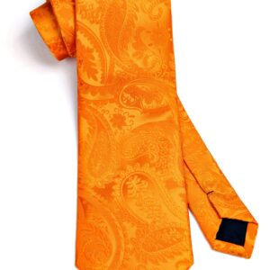 HISDERN Orange Paisley Ties for Men Solid Tie Handkerchief Floral Men's Necktie & Pocket Square Set Wedding Classic Mens Ties