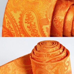 HISDERN Orange Paisley Ties for Men Solid Tie Handkerchief Floral Men's Necktie & Pocket Square Set Wedding Classic Mens Ties