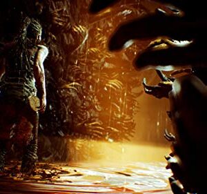 Hellblade: Senua's Sacrifice - PlayStation 4