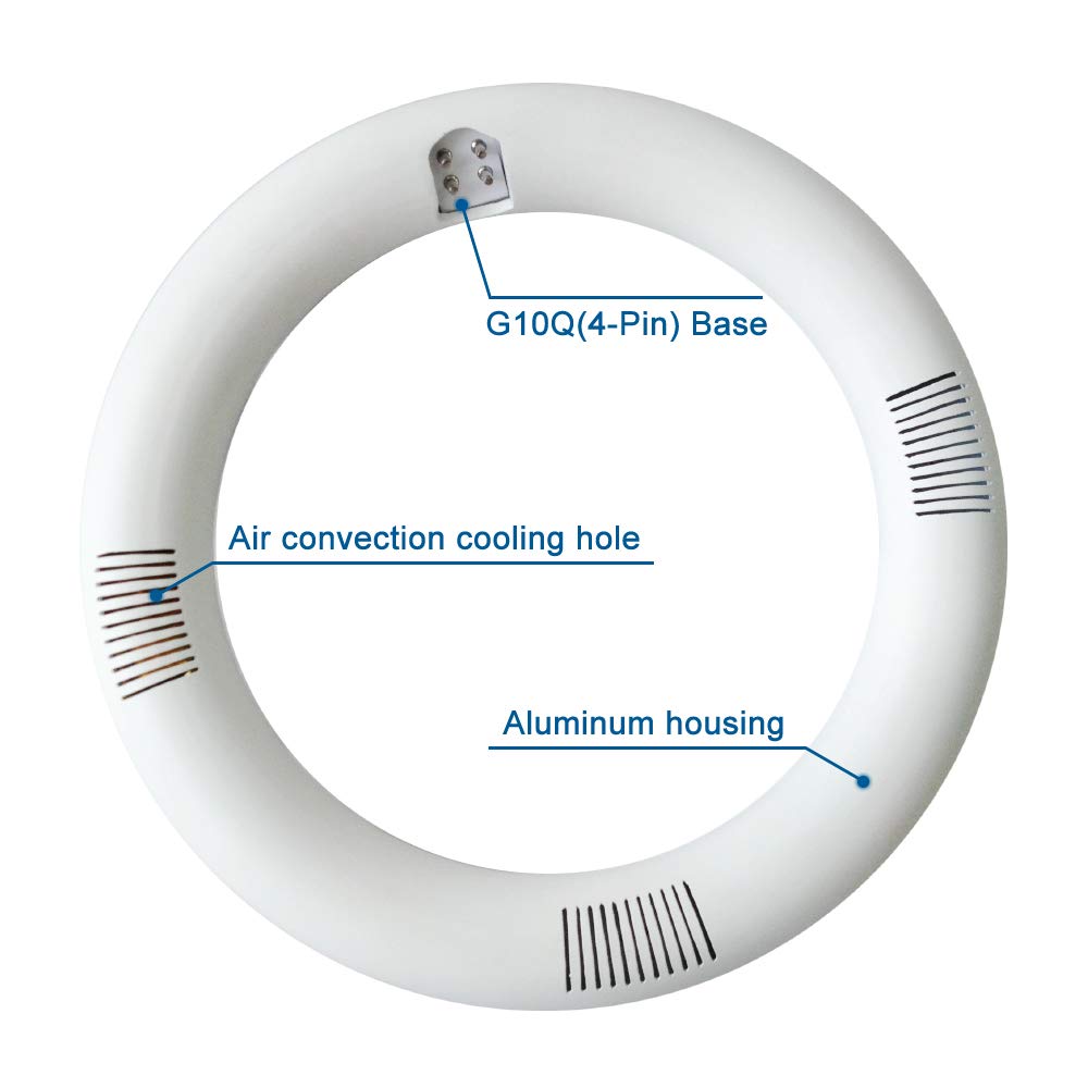 T9 LED Circline Light Bulb, 8 Inch 1600LM LED Circular Light, 13W Clear Cover 6000K Daylight Replacement for FC8T9/CW 22-Watt Fluorescent Circular Bulb(FC8T9/CW), Ballast Bypass Required