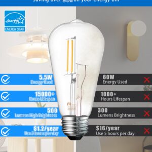 MASTERY MART 10 Pack Vintage LED Edison Bulbs, E26 Led Bulb 5.5W Equivalent to 60W, Dimmable, 4000K Cool White, High Brightness ST58 Antique LED Filament Bulbs, Clear Glass