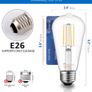 MASTERY MART 10 Pack Vintage LED Edison Bulbs, E26 Led Bulb 5.5W Equivalent to 60W, Dimmable, 4000K Cool White, High Brightness ST58 Antique LED Filament Bulbs, Clear Glass