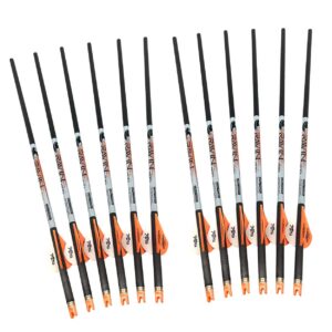 ravin crossbows 12-pack of 400 grain carbon arrows (r139), for use with any ravin crossbow