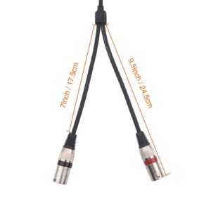 tisino 3.5mm to Dual XLR Stereo Cable 1/8 inch Mini Jack to 2 XLR Male Y Splitter Adapter Cord- 3.3 FT