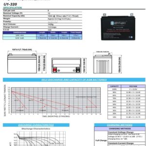 ML-U1-CCAHR - 12V 320 CCA U1 - SLA Starting Battery for Lawn, Tractors and Mowers - Mighty Max Battery Brand Product (3878105)