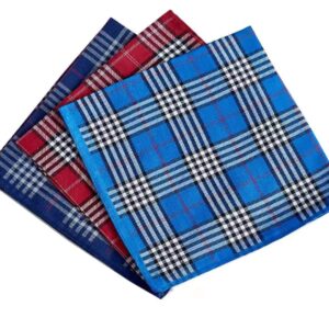 RDS HANKYTEX Men's Handkerchiefs 100% Cotton Checker Pattern 6 Pieces …