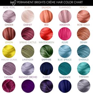 Ion Permanent Brights Creme Hair Color Purple Purple