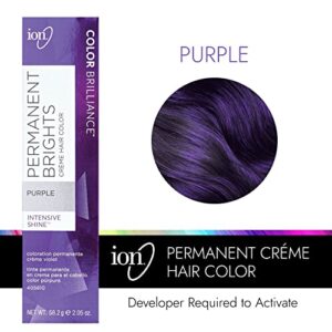 Ion Permanent Brights Creme Hair Color Purple Purple