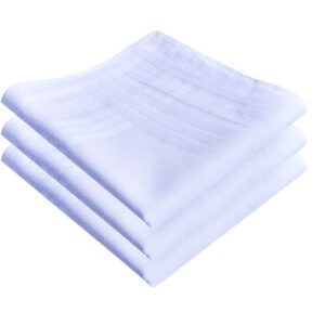 MemoryHanky Men's Pure White 100% Cotton Handkerchiefs Classic Hankies