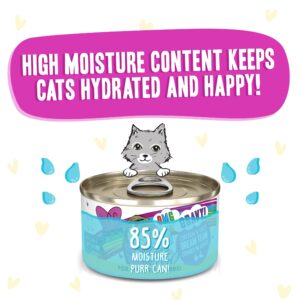 Weruva B.F.F. OMG - Best Feline Friend Oh My Gravy!, Chicken & Duck Dream Team with Chicken & Duck in Gravy, 2.8oz Can (Pack of 12)