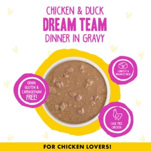 Weruva B.F.F. OMG - Best Feline Friend Oh My Gravy!, Chicken & Duck Dream Team with Chicken & Duck in Gravy, 2.8oz Can (Pack of 12)