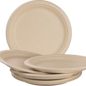 Avant Grub Pro-Grade, Biodegradable 10 Inch Plates. Bulk 100 Pk Great for Lunch, Dinner Parties, Potlucks. Disposable, Compostable Wheatstraw Paper Alternative. Sturdy, Soakproof, Microwave Safe