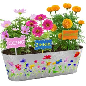 Paint & Plant Flower Growing Kit for Kids - Best Birthday Crafts Gifts for Girls & Boys Age 5 6 7 8-12 Year Old Girl Gift Ideas - Fun Children Gardening Kits, Art Projects Toys for Ages 5-12 Years