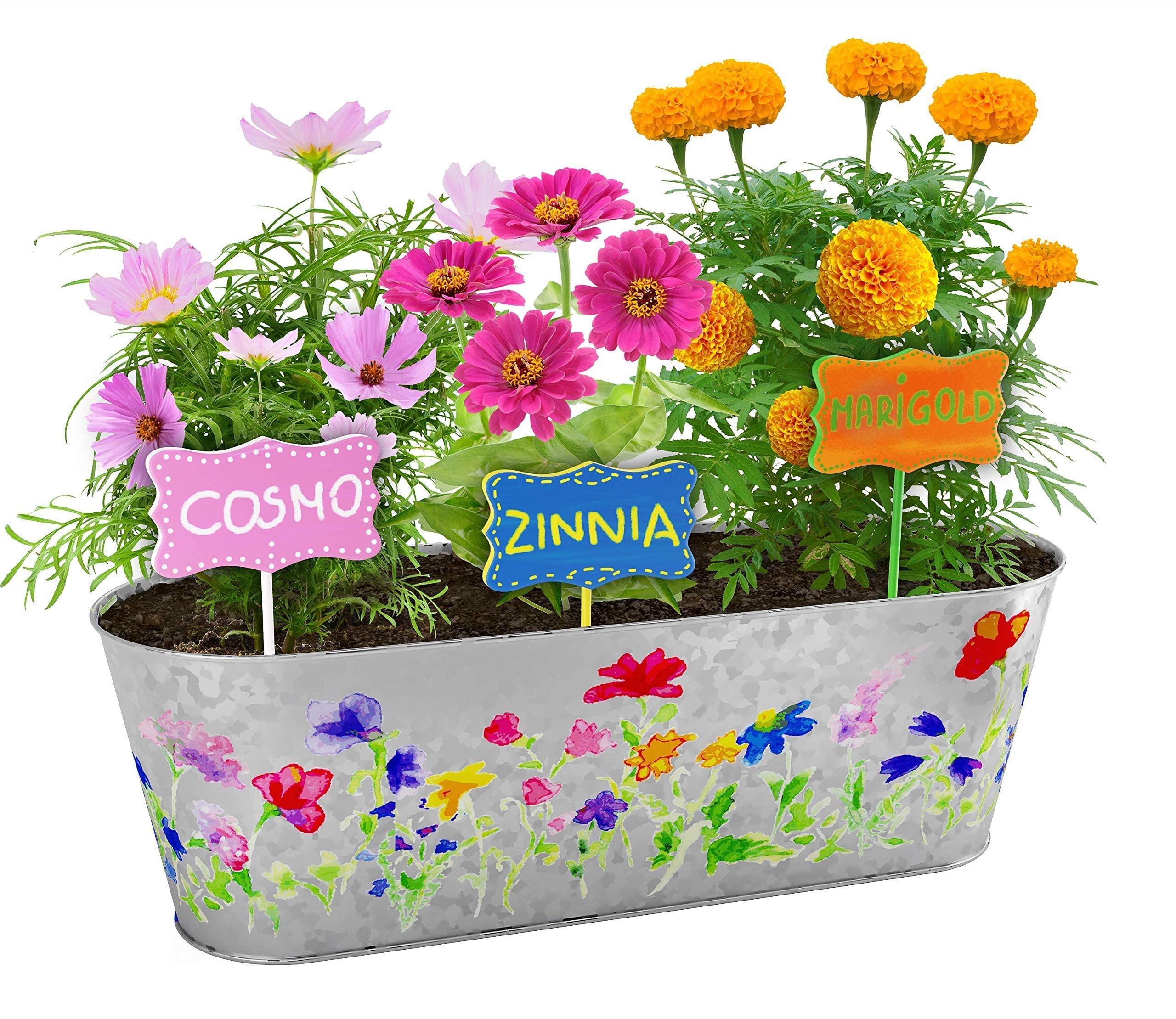 Paint & Plant Flower Growing Kit for Kids - Best Birthday Crafts Gifts for Girls & Boys Age 5 6 7 8-12 Year Old Girl Gift Ideas - Fun Children Gardening Kits, Art Projects Toys for Ages 5-12 Years