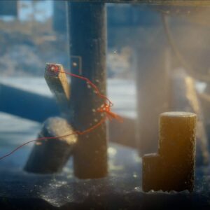 Unravel Yarny Bundle