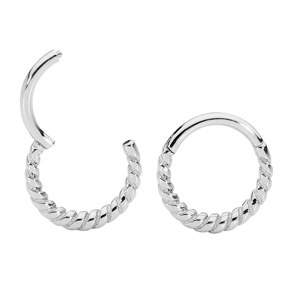 365 SLEEPERS 316L Surgical Steel 16G 8mm 10mm Twist Hinged Hoop Segment Nose Ring Helix Tragus Septum Unisex Earring Body Piercing Jewelry