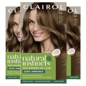 Clairol Natural Instincts Demi-Permanent Hair Dye, 6G Light Golden Brown Hair Color, Pack of 3