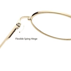 COASION Vintage Round Clear Glasses Small Metal Frame Non Prescription Lens Eyeglasses (Gold)