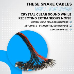 Seismic Audio - XLR Low Profile Snake Cable with 4 TRS Returns - Circuit Board Snake for Recording, Stage, Studio PA DJ use (50 Feet - 16 Channel - 8 TRS)