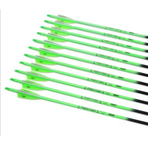 Pointdo 30inch Carbon Arrow Fluorescence Color Targeting and Hunting Practice Arrows for Recurve and Compound Bow with Removable Tips (Fluorescein Green)