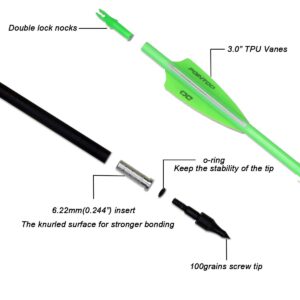 Pointdo 30inch Carbon Arrow Fluorescence Color Targeting and Hunting Practice Arrows for Recurve and Compound Bow with Removable Tips (Fluorescein Green)