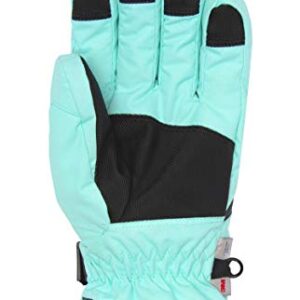 Arctix Women's Insulated Downhill Gloves, Island Azure, Large