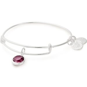 alex and ani birthstones expandable bangle for women, amethyst crystal charm for february, shiny silver finish, 2 to 3.5 in