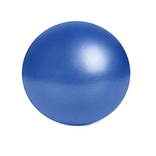 Vizuioer nononfish Mini Exercise Barre Ball for Yoga,Pilates,Stability Blance Exercise Training Gym Anti Burst and Slip Resistant BallWith Inflatable Straw (Blue)