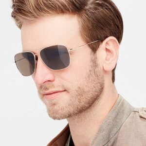 Revo Sunglasses Harbor: Polarized Lens Filters UV, Metal Navigator Frame, Gold Frame with Terra Lens