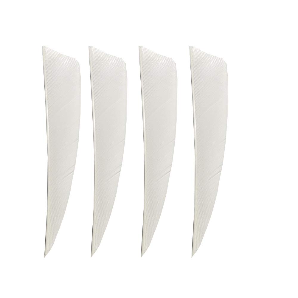 HNZMDY 50 Pcs 4 Inch 5 Inch Archery Arrow Fletching Turkey Feather Fletching Right Wing Left Wing Feather Real Arrow Vanes for Hunting Arrow Accessories DIY Archery (5 inch/Right Wing, White)