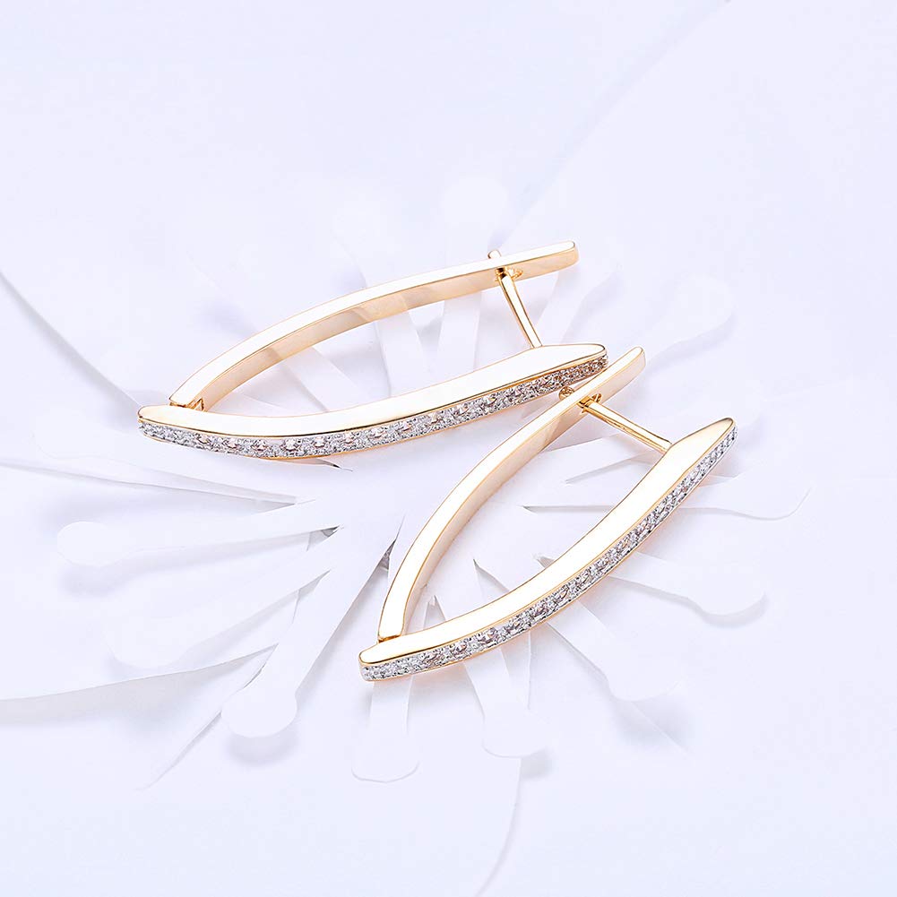 14K Gold Plated Cubic Zirconia Hoop Earrings For Women Men Fashion CZ Earrings