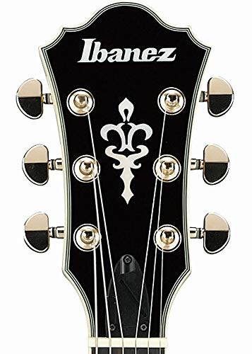 Ibanez AM93ME Artcore Expressionist Macassar Ebony Semi-Hollow Body